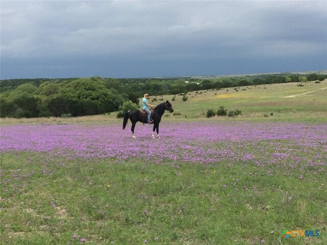 6101 County Road 208, Lampasas, TX 76550 - photo 25