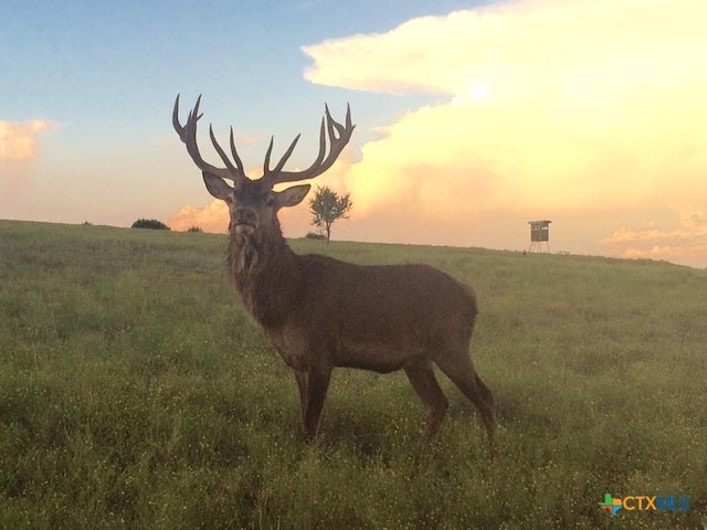 6101 County Road 208, Lampasas, TX 76550 - photo 13