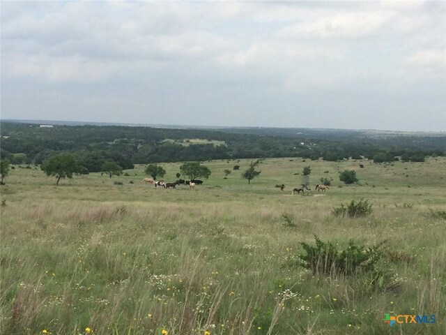 6101 County Road 208, Lampasas, TX 76550 - photo 10