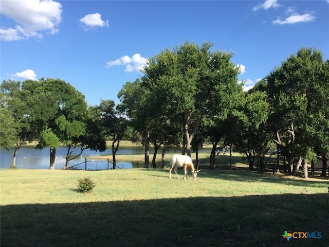 6101 County Road 208, Lampasas, TX 76550 - photo 27