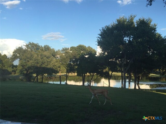 6101 County Road 208, Lampasas, TX 76550 - photo 11