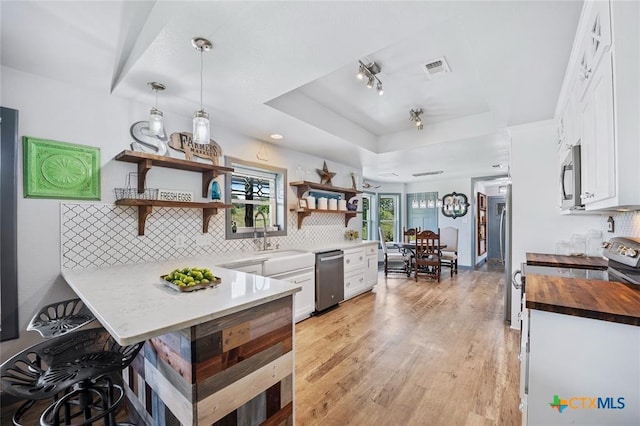 kitchen featuring a sink, appliances with stainless steel finishes, decorative backsplash, open shelves, and a tray ceiling