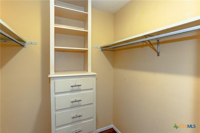 view of spacious closet