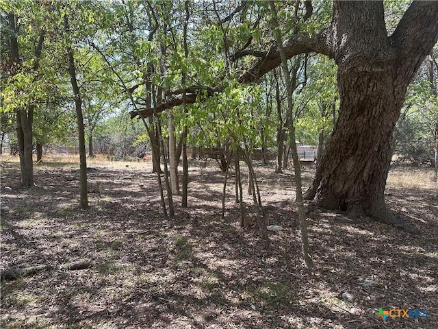1 Dog Wood Ct, Morgans Point Resort, TX 76513