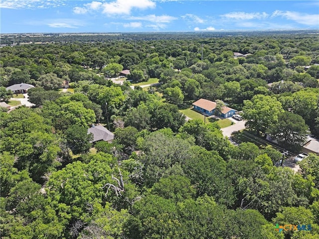 1 Dog Wood Ct, Morgans Point Resort, TX 76513