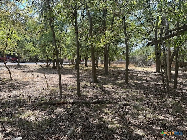 1 Dog Wood Ct, Morgans Point Resort, TX 76513