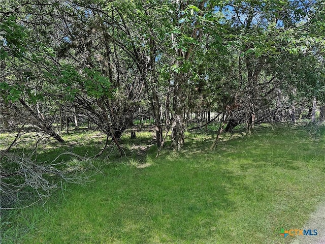 1 Dog Wood Ct, Morgans Point Resort, TX 76513