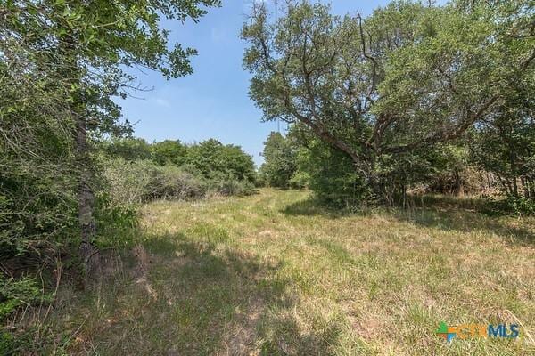 Listing photo 2 for TBD Fm 822, Edna TX 77957