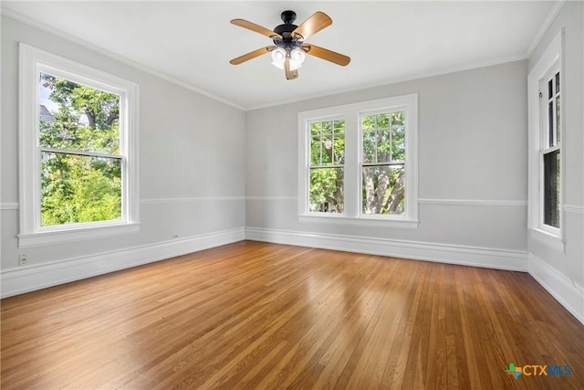 610 N 7th St, Temple, TX 76501 - empty room with wood-type flooring, a ceiling fan, and ornamental molding