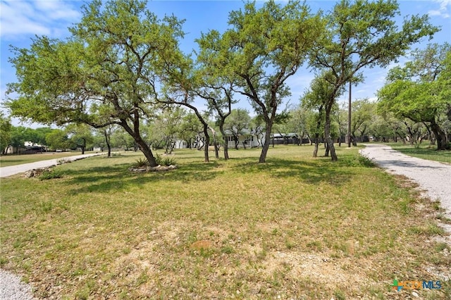 710 Ranchview Dr, Johnson City, TX 78636 - photo 36