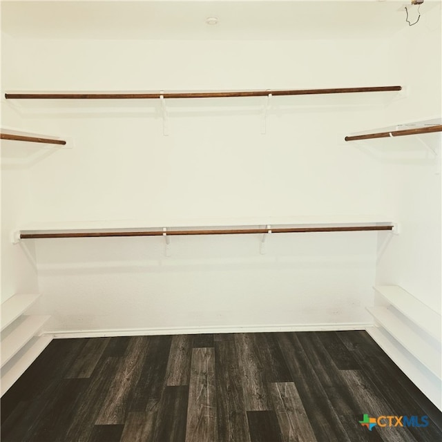 walk in closet with dark hardwood / wood-style flooring