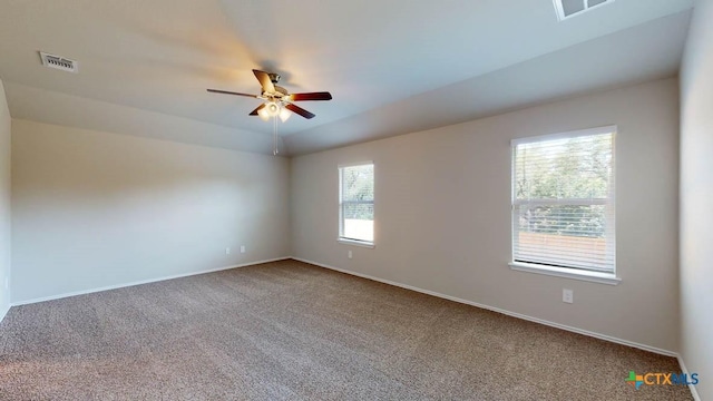 8904 Ponderosa Pine Rd, Temple, TX 76502 - photo 17