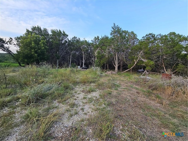 1536 Hidden Valley Dr, Spring Branch, TX 78070