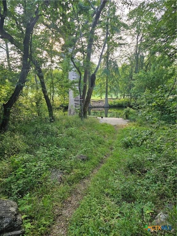 1536 Hidden Valley Dr, Spring Branch, TX 78070