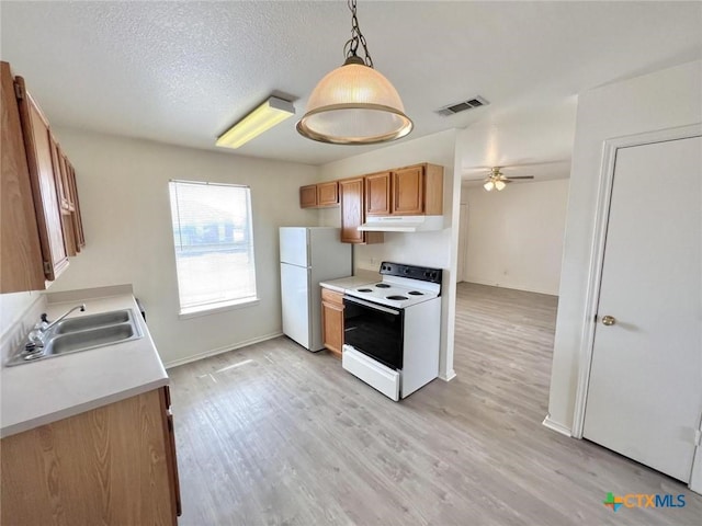 1113 Horizon Dr, Killeen, TX 76549 - photo 4