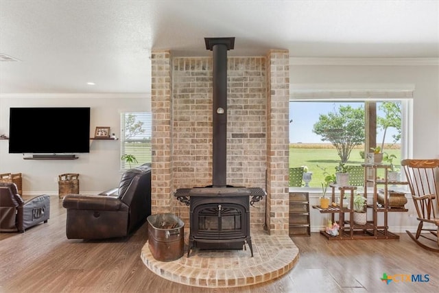 17179 Cyclone Rd, Burlington, TX 76519 - living room with a wood stove, ornamental molding, plenty of natural light, and wood finished floors