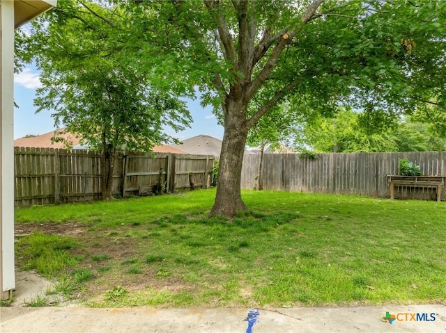 2804 Bluejay Dr, Killeen, TX 76549 - view of yard