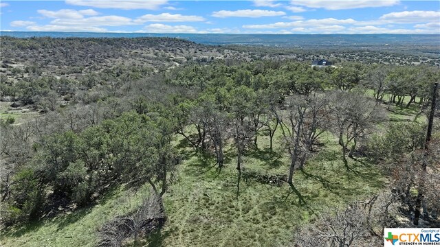 Listing photo 3 for 1555 E Twisted Oak Trl, Blanco TX 78606