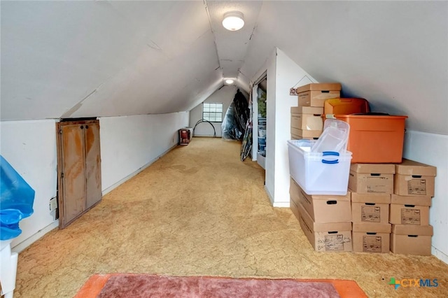 3662 N Fm 444, Inez, TX 77968 - additional living space featuring vaulted ceiling and carpet