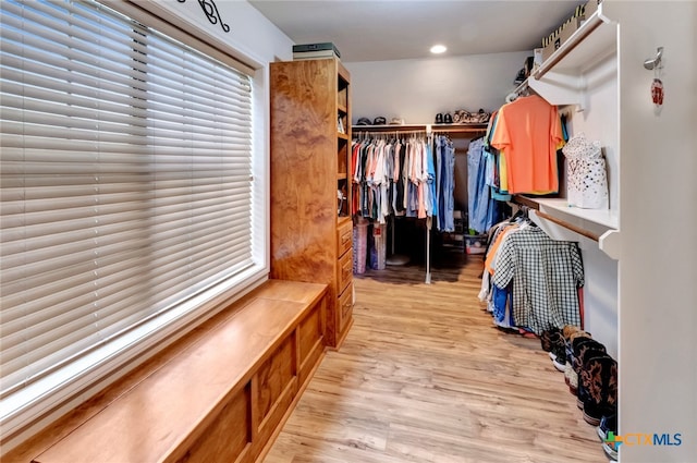 spacious closet featuring light hardwood / wood-style flooring