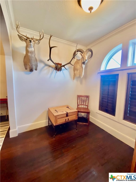 miscellaneous room with ornamental molding and dark hardwood / wood-style floors