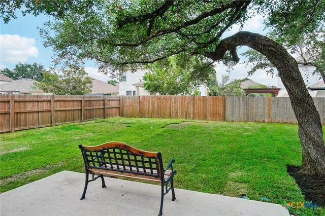 view of yard featuring a patio area