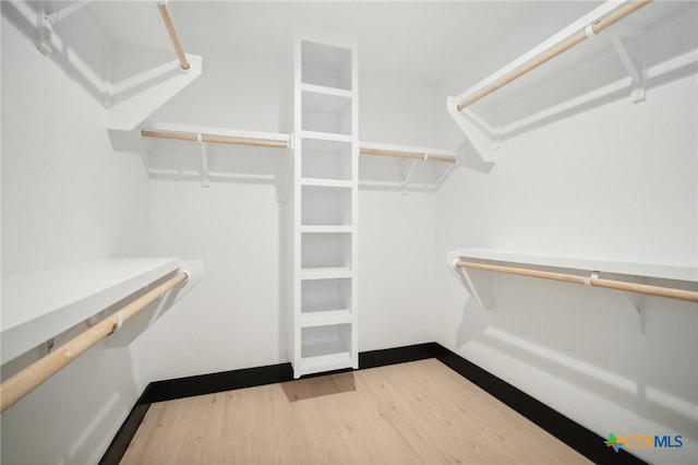 walk in closet with hardwood / wood-style flooring