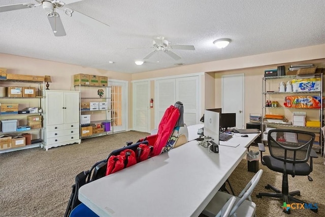 910 Mill Creek Dr, Salado, TX 76571 - carpeted office with a ceiling fan and a textured ceiling