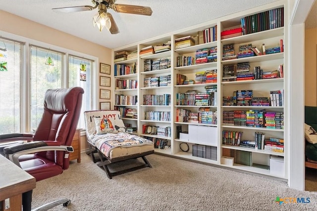 910 Mill Creek Dr, Salado, TX 76571 - living area featuring carpet floors and a ceiling fan