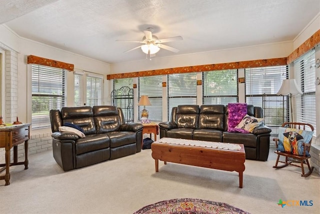 910 Mill Creek Dr, Salado, TX 76571 - living area featuring ceiling fan, light colored carpet, and ornamental molding