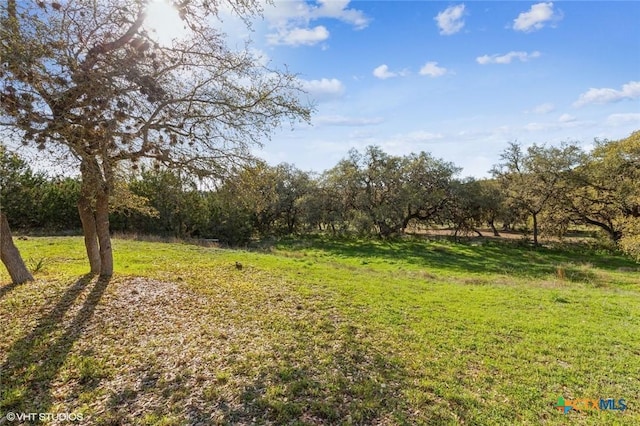 1974 Canyon Bnd, Canyon Lake, TX 78133 - view of green lawn
