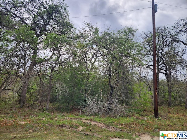 1247 Vivroux Ranch Rd, Seguin TX, 78155 land for sale