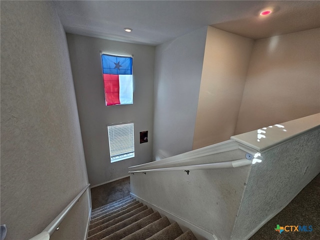 staircase featuring carpet floors