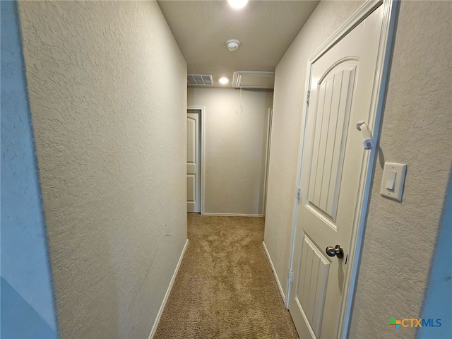 corridor featuring carpet flooring