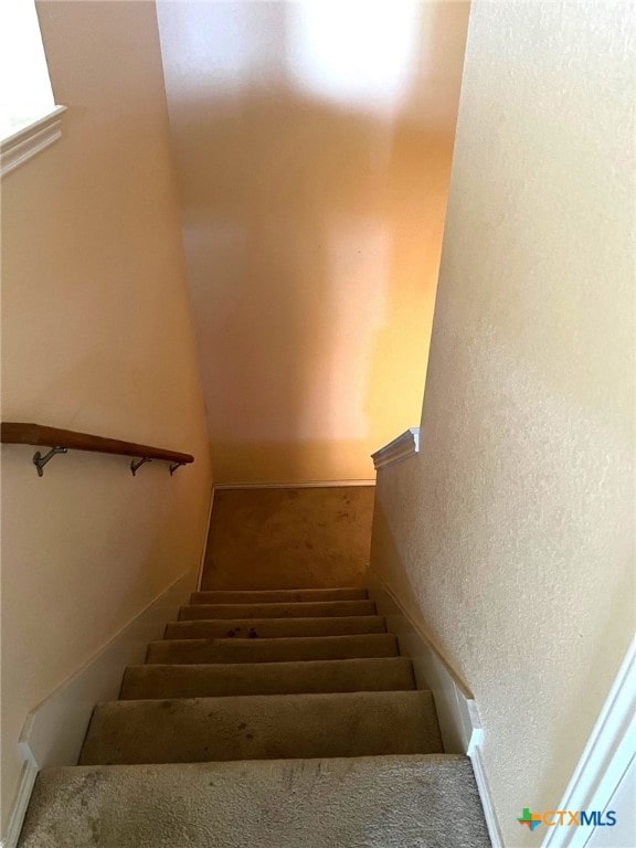 stairs featuring carpet