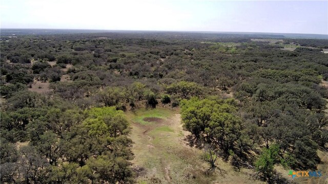 171 El Sueno Ln, Zephyr, TX 76890 - photo 6