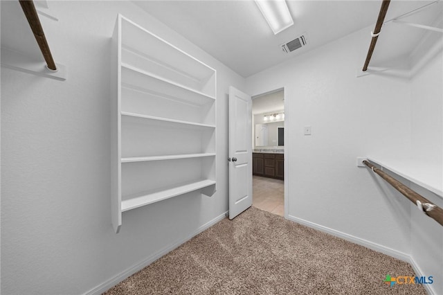 1821 Holleman Dr, Temple, TX 76502 - walk in closet featuring light colored carpet