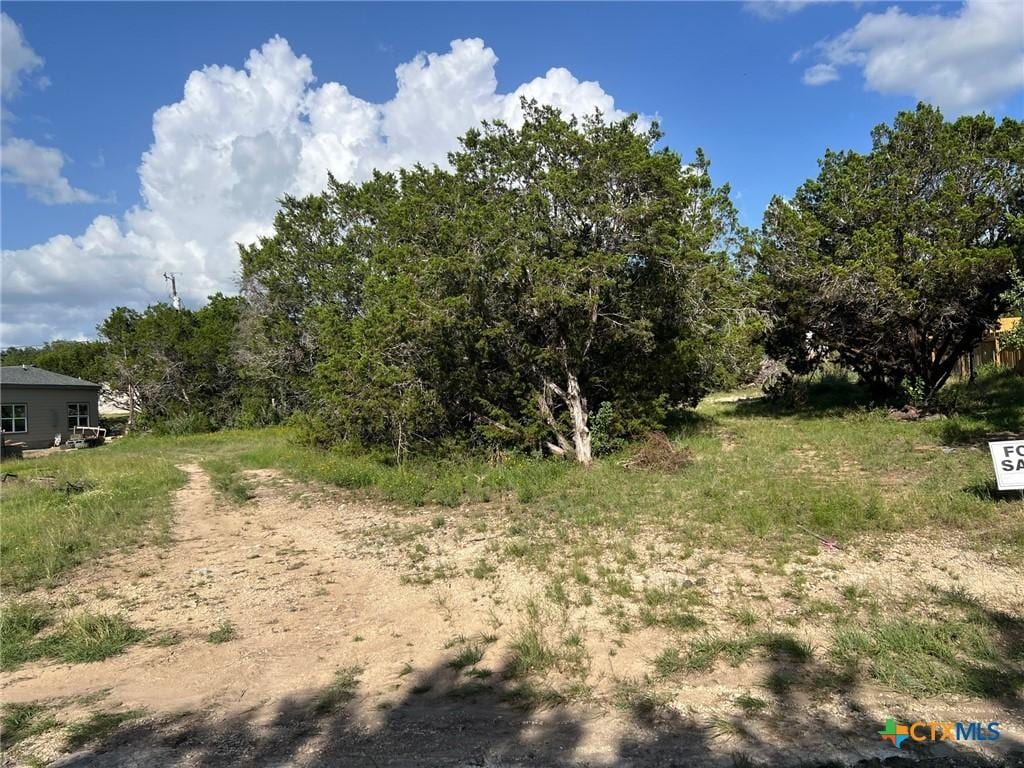 270 Ridgerock Dr, Canyon Lake, TX 78133