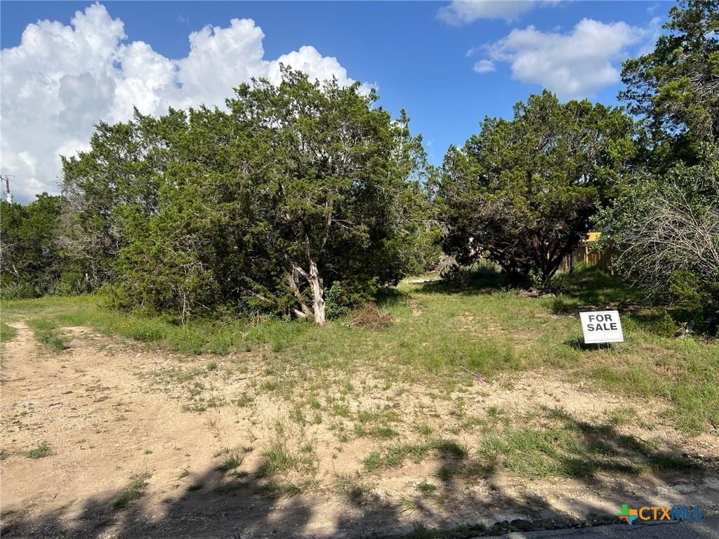 270 Ridgerock Dr, Canyon Lake, TX 78133