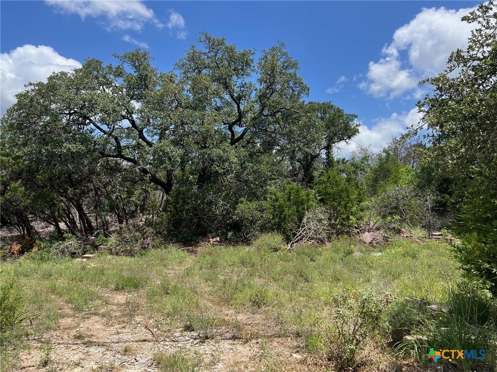 270 Ridgerock Dr, Canyon Lake, TX 78133
