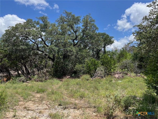 270 Ridgerock Dr, Canyon Lake, TX 78133
