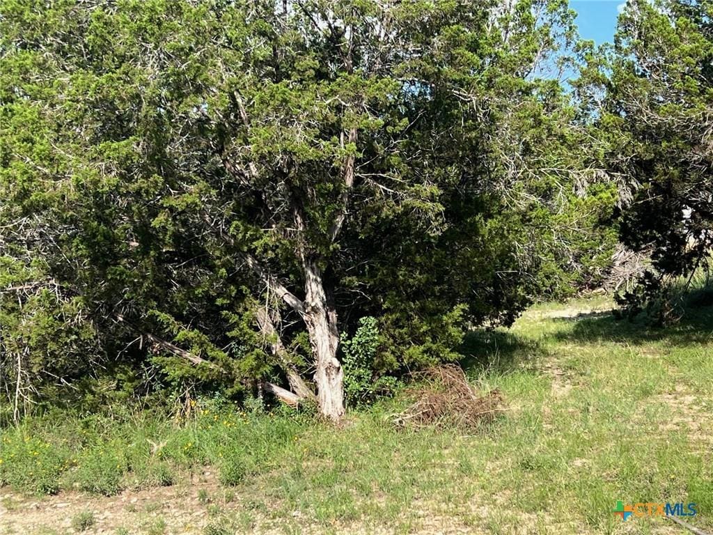 270 Ridgerock Dr, Canyon Lake, TX 78133