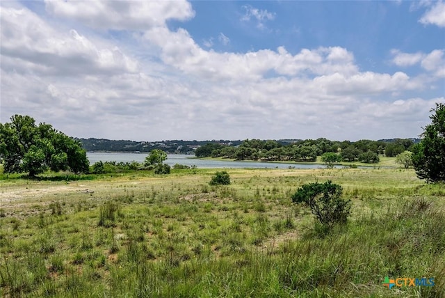 view of nature with a large body of water
