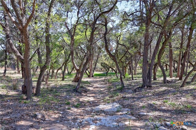 TBD Moonridge Ln, Wimberley, TX 78676