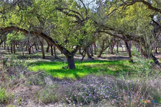 TBD Moonridge Ln, Wimberley, TX 78676