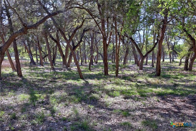 TBD Moonridge Ln, Wimberley, TX 78676