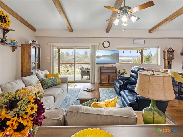 living room featuring hardwood / wood-style floors, ceiling fan, a wealth of natural light, and beam ceiling