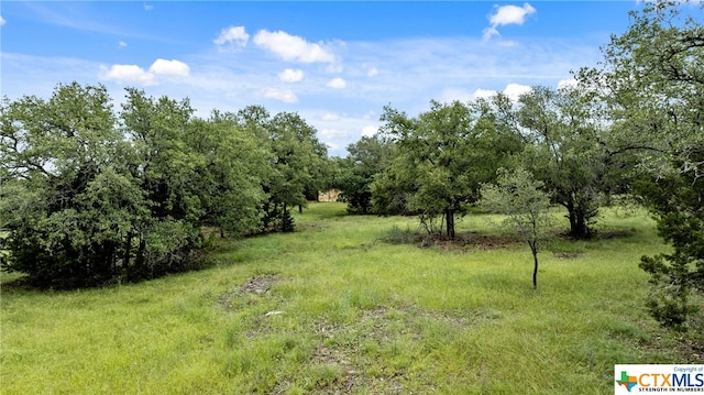 Listing photo 3 for 1141 E Creekview Dr, Salado TX 76571