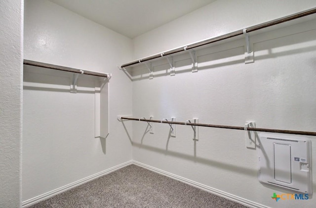 walk in closet with carpet floors