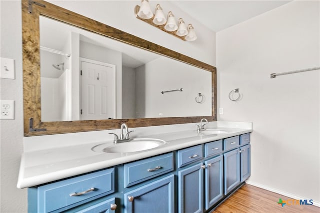 bathroom featuring vanity and wood-type flooring